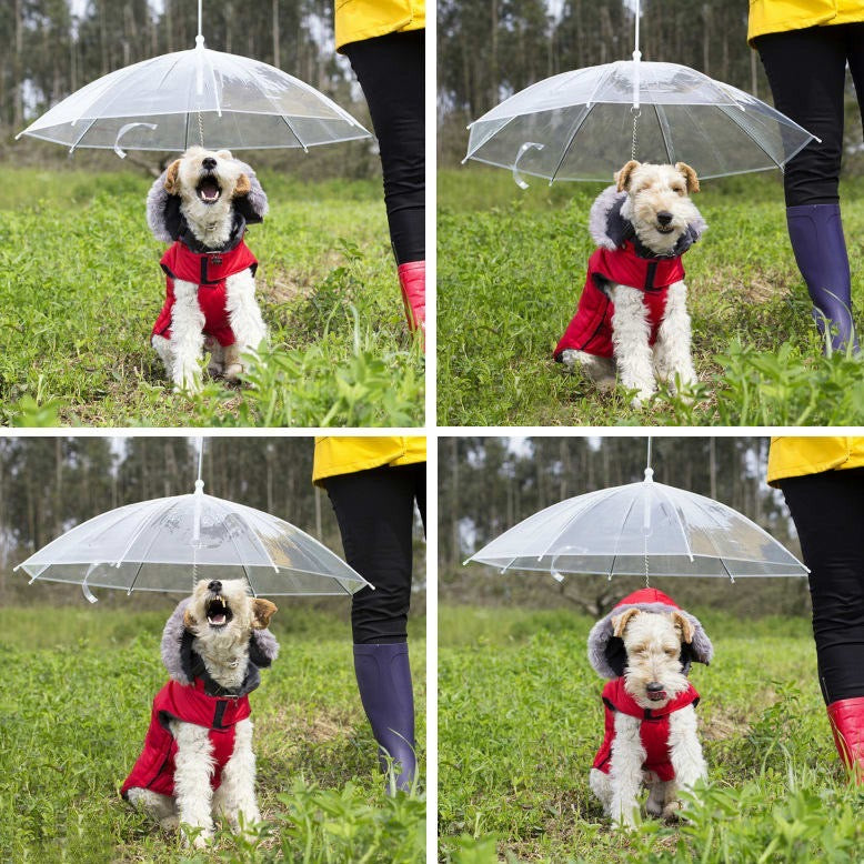 Sombrilla Para Mascota